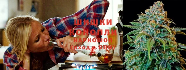Альфа ПВП Бородино