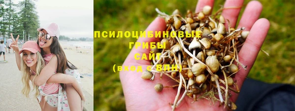 Альфа ПВП Бородино