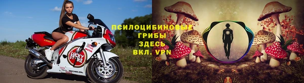 Альфа ПВП Бородино